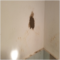 강원수도설비누수탐지누수 PC 갤러리 15