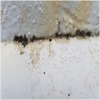 강원수도설비누수탐지누수 PC 갤러리 9