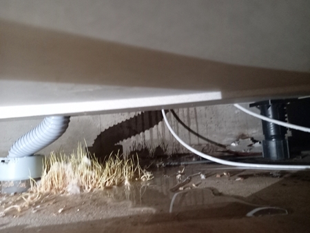 강원수도설비누수탐지누수 PC 이미지 1714010